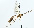  ( - NJBC 202)  @11 [ ] CreativeCommons  Attribution Non-Commercial Share-Alike (2017) Niklas Johansson Swedish University of Agricultural Sciences