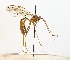  ( - NJBC 261)  @11 [ ] CreativeCommons  Attribution Non-Commercial Share-Alike (2017) Niklas Johansson Swedish University of Agricultural Sciences