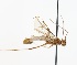  ( - NJBC 268)  @12 [ ] CreativeCommons  Attribution Non-Commercial Share-Alike (2017) Niklas Johansson Swedish University of Agricultural Sciences