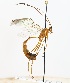  (Enicospilus myricae - NJBC 269)  @14 [ ] CreativeCommons  Attribution Non-Commercial Share-Alike (2017) Niklas Johansson Swedish University of Agricultural Sciences