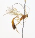  ( - NJBC 270)  @13 [ ] CreativeCommons  Attribution Non-Commercial Share-Alike (2017) Niklas Johansson Swedish University of Agricultural Sciences