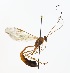  ( - NJBC 272)  @13 [ ] CreativeCommons  Attribution Non-Commercial Share-Alike (2017) Niklas Johansson Swedish University of Agricultural Sciences