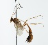  ( - NJBC 295)  @13 [ ] CreativeCommons  Attribution Non-Commercial Share-Alike (2018) Niklas Johansson Swedish University of Agricultural Sciences
