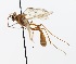  ( - NJBC 316)  @11 [ ] CreativeCommons  Attribution Non-Commercial Share-Alike (2018) Niklas Johansson Swedish University of Agricultural Sciences