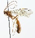  ( - NJBC 324)  @13 [ ] CreativeCommons  Attribution Non-Commercial Share-Alike (2018) Niklas Johansson Swedish University of Agricultural Sciences