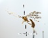  ( - NJBC37)  @11 [ ] CreativeCommons  Attribution Non-Commercial Share-Alike (2017) Niklas Johansson Swedish University of Agricultural Sciences