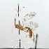  ( - NJBC99)  @11 [ ] CreativeCommons  Attribution Non-Commercial Share-Alike (2017) Niklas Johansson Swedish University of Agricultural Sciences