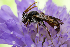  ( - KH33)  @11 [ ] Copyright (2013) Krister Hall Unspecified