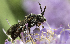  ( - KH34)  @11 [ ] Copyright (2014) Krister Hall Unspecified