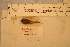  ( - r19D:1176)  @11 [ ] © Copyright Government of Canada (2020) Mélanie Roy Fisheries and Oceans Canada
