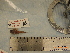 ( - r19D:1737)  @11 [ ] © Copyright Government of Canada (2020) Mélanie Roy Fisheries and Oceans Canada