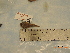  ( - r19D:1738)  @11 [ ] © Copyright Government of Canada (2020) Mélanie Roy Fisheries and Oceans Canada
