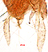  (Kribiodosis - song120)  @12 [ ] Copyright (2015) Chao Song Nankai University