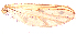  ( - song168)  @11 [ ] Copyright (2015) Chao Song Nankai University