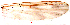  ( - song169)  @12 [ ] Copyright (2015) Chao Song Nankai University