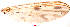  ( - song171)  @12 [ ] Copyright (2015) Chao Song Nankai University