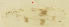  ( - song220)  @11 [ ] Copyright (2018) Chao Song Nankai University