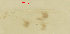  ( - song223)  @11 [ ] Copyright (2018) Chao Song Nankai University