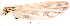  ( - song47)  @11 [ ] Copyright (2015) Chao Song Nankai University