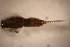  ( - E34-STC)  @11 [ ] CreativeCommons  Attribution Non-Commercial Share-Alike (2024) Daniel Erasmus University of Northern British Columbia