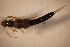  ( - P94-STP)  @11 [ ] CreativeCommons  Attribution Non-Commercial Share-Alike (2024) Daniel Erasmus University of Northern British Columbia
