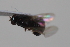  ( - cau02053)  @13 [ ] Unspecified (default): All Rights Reserved (2010) China Agricultural University, Insect Collection China Agricultural University, Insect Collection