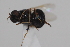  ( - cau02058)  @13 [ ] Unspecified (default): All Rights Reserved (2010) China Agricultural University, Insect Collection China Agricultural University, Insect Collection