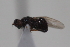  ( - cau02060)  @11 [ ] Unspecified (default): All Rights Reserved (2010) China Agricultural University, Insect Collection China Agricultural University, Insect Collection