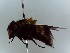  ( - SUAL0174)  @12 [ ] CreativeCommons  Attribution A. Lucas (2016) Unspecified Swansea University