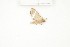  ( - CTBB-1190)  @12 [ ] Copyright (2013) Thierry Bouyer Research Collection of Thierry Bouyer