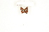  ( - CTBB-1525)  @12 [ ] Copyright (2014) Thierry Bouyer Research Collection of Thierry Bouyer