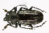  ( - CTBB-1529)  @11 [ ] Copyright (2014) Alain Drumont Research Collection of Alain Drumont