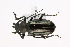  ( - CTBB-1530)  @11 [ ] Copyright (2014) Alain Drumont Research Collection of Alain Drumont