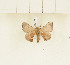  ( - CTBB-1591)  @13 [ ] Copyright (2014) Thierry Bouyer Research Collection of Thierry Bouyer