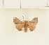  ( - CTBB-1593)  @13 [ ] Copyright (2014) Thierry Bouyer Research Collection of Thierry Bouyer