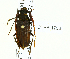  ( - CTBB-1756)  @11 [ ] Copyright (2015) Alain Drumont Research Collection of Alain Drumont