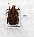  ( - CTBB-1969)  @11 [ ] Copyright © (2017) Claude Joly Research Collection of Claude Joly