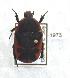 ( - CTBB-1973)  @11 [ ] Copyright © (2017) Claude Joly Research Collection of Claude Joly