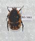  ( - CTBB-1980)  @13 [ ] Copyright © (2017) Claude Joly Research Collection of Claude Joly