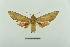  ( - CTBB-2014)  @11 [ ] Copyright © (2017) Pierre Schmit Research Collection of Pierre Schmit