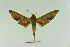  ( - CTBB-2016)  @11 [ ] Copyright © (2017) Pierre Schmit Research Collection of Pierre Schmit