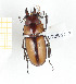  ( - CTBB-2272)  @11 [ ] Copyright © (2018) Th. Bouyer Research Collection of Thierry Bouyer