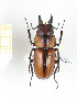  ( - CTBB-2274)  @13 [ ] Copyright © (2018) Th. Bouyer Research Collection of Thierry Bouyer