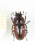  ( - CTBB-2279)  @13 [ ] Copyright © (2018) Th. Bouyer Research Collection of Thierry Bouyer