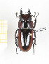  ( - CTBB-2292)  @11 [ ] Copyright © (2018) Th. Bouyer Research Collection of Thierry Bouyer