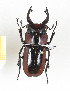  ( - CTBB-2293)  @11 [ ] Copyright © (2018) Th. Bouyer Research Collection of Thierry Bouyer