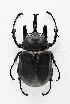  ( - CTBB-2345)  @11 [ ] Copyright © (2018) Jaak Van Meenen Research Collection of Jaak Van Meenen