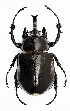  ( - CTBB-2354)  @14 [ ] Copyright © (2018) Jaak Van Meenen Research Collection of Jaak Van Meenen