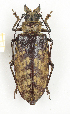  ( - CTBB-2369)  @11 [ ] Copyright © (2018) Th. Bouyer Research Collection of Thierry Bouyer