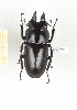  ( - CTBB-2391)  @11 [ ] Copyright © (2018) Th. Bouyer Research Collection of Thierry Bouyer